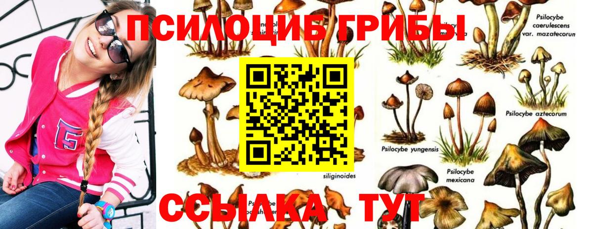 Галлюциногенные грибы прущие грибы Усть-Кут